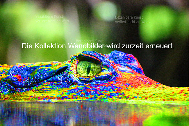 Wandbilder